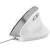 Trust Bayo II pelė Office dešinei rankai USB Type-A Optinė 2400 DPI