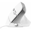 Trust Bayo II pelė Office dešinei rankai USB Type-A Optinė 2400 DPI
