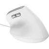 Trust Bayo II pelė Office dešinei rankai USB Type-A Optinė 2400 DPI