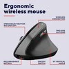 Kompiuterio pelė TRUST BAYO II ERGONOMIC, USB TYPE-C