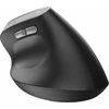 Kompiuterio pelė TRUST BAYO II ERGONOMIC, USB TYPE-C