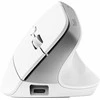 Trust Bayo+ pelė Office dešinei rankai RF belaidė + Bluetooth Optinė 2400 DPI
