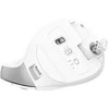 Trust Bayo+ pelė Office dešinei rankai RF belaidė + Bluetooth Optinė 2400 DPI
