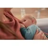 „Philips Avent“ SCF430/20 rankinis Pientraukis