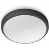 Lubinis šviestuvas Šviestuvas Philips Doris 929003190901, 6W, LED, IP54, juodas