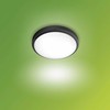 Lubinis šviestuvas Šviestuvas Philips Doris 929003190901, 6W, LED, IP54, juodas