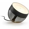 Philips Hue Iris balta ir spalvota išmanioji šviesa, juoda, BT, 570 lm