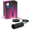 Philips Hue E27 pakabinamas šviestuvas Lightguide lemputėms