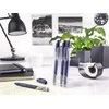 Pilot Pen Rašiklių rinkinys Pultas FriXion Fineliner, ištrinami, 4 vnt., ryškių spalvų