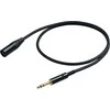PROEL 6,3mm stereo vyriškas - XLR vyriškas, 2m, juodas