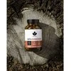 Puhdistamo Earth Ashwagandha, 120 kaps