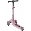 Paspirtukas PUKY Push raspberry