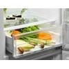 Šaldytuvas Electrolux LNB1LE34WR 500 series fridge-šaldiklis, baltas