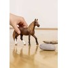 Schleich figūrėlė Peruvių paso