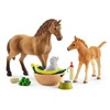 Schleich Horse Club 42432 - Sarah eläinhoitovauvasarja