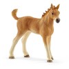 Schleich Horse Club 42432 - Sarah eläinhoitovauvasarja