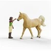 Schleich Horse Club Sarah &amp; Mystery