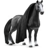 SCHLEICH SOFIA´S BEAUTIES „Beauty Horse“ kvorterių veislės kumelė