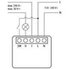 Shelly 1 Mini Gen4 1 kanalo relė 8A (WiFi, Bluetooth, Zigbee, Matter)