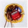 Shelly 1PM Mini Gen4 1 kanalo relė 8A (WiFi, Bluetooth, Zigbee, Matter)