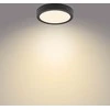 Sieninis šviestuvas Philips 12W LED lubinis šviestuvas MAGNEOS, juodas, 2700K