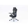 Sihoo Doro C300 -ergonominen toimistotuoli, musta