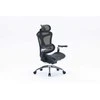 Sihoo Doro C300 -ergonominen toimistotuoli, musta