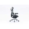 Sihoo Doro C300 -ergonominen toimistotuoli, musta