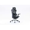 Sihoo Doro C300 -ergonominen toimistotuoli, musta