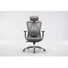 Sihoo M18 -ergonominen toimistotuoli, harmaa