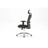 Ergonominė biuro kėdė Sihoo M18, juoda