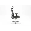 Ergonominė biuro kėdė Sihoo M18, juoda