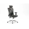 Ergonominė biuro kėdė Sihoo M18, juoda