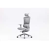 Sihoo M90C -ergonominen toimistotuoli, harmaa