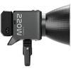 SmallRig 4621 RC 220B Pro Cob LED-videovalo