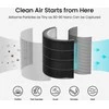 Xiaomi Smartmi Oro valytuvas P1 Filter (Pollen)