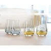 Spiegelau Single Barrel Bourbon viskio taurė, 4 vnt
