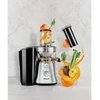 Sulčiaspaudė Stollar the Fruit ampVeggie Juicer JES700, 1.6l, 800W