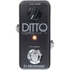 TC Electronic Ditto Looper gitaros pedalas