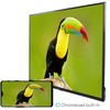 „ProCaster 65 SL970H“ – 4K LED „Google“ televizorius