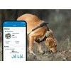 Tractive GPS DOG XL - vietos ir veiklos sekimas šunims - žalia