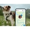 Tractive GPS DOG XL - vietos ir veiklos sekimas šunims - žalia