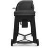Traeger Woodridge pellettigrilli