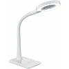 Stalinis LED šviestuvas TRIO LUPO, 5W 3500K 550lm su padidinimo stiklu baltas 35x13,5x30cm