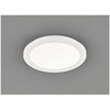 Lubinis šviestuvas Trio Reality Camillus LED lubos, 15 W, baltos spalvos