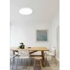 Lubinis šviestuvas Šviestuvas Trio WACO, lubinis, 52.5 W, LED