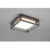 DELIGHT Trio Witham 677860142 lubinis šviestuvas lauko IP54 1x14W LED 2300-4000K antracitas