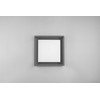 DELIGHT Trio Witham 677860142 lubinis šviestuvas lauko IP54 1x14W LED 2300-4000K antracitas