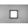 DELIGHT Trio Witham 677860142 lubinis šviestuvas lauko IP54 1x14W LED 2300-4000K antracitas