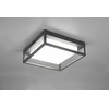 DELIGHT Trio Witham 677860142 lubinis šviestuvas lauko IP54 1x14W LED 2300-4000K antracitas